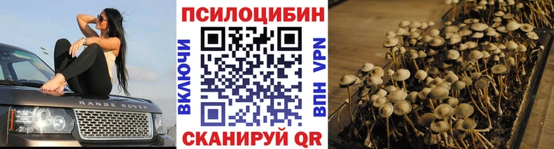 Купить закладки  Калачинск  Псилоцибиновые грибы GOLDEN TEACHER 